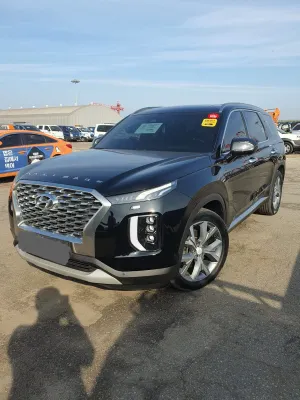 2019 Hyundai Palisade — foto 2 / 10