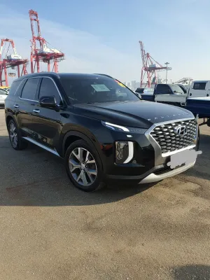 2019 Hyundai Palisade — foto 3 / 10