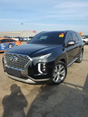 2019 Hyundai Palisade — foto 4 / 10