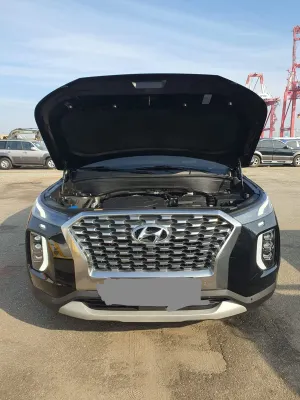 2019 Hyundai Palisade — foto 5 / 10