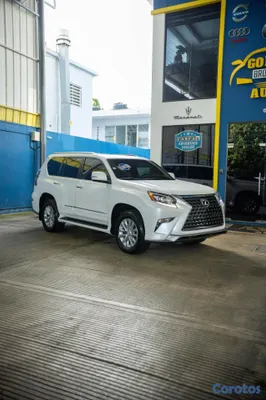 2019 Lexus Gx