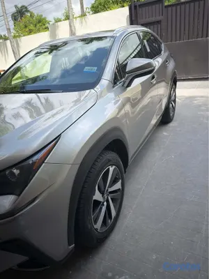 2020 Lexus NX — foto 4 / 7