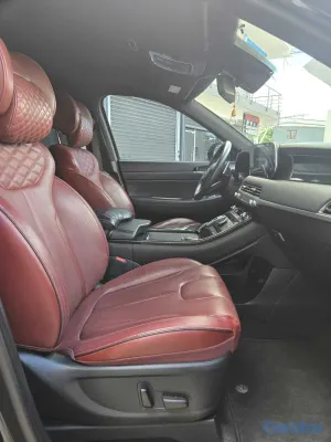 2019 Hyundai Palisade — foto 9 / 13