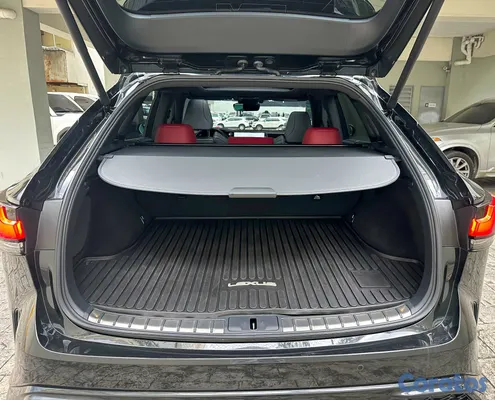 2023 Lexus Rx — foto 11 / 11