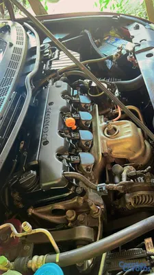 2010 Honda Civic — foto 13 / 15