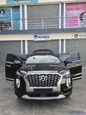 2019 Hyundai Palisade — foto 8 / 12