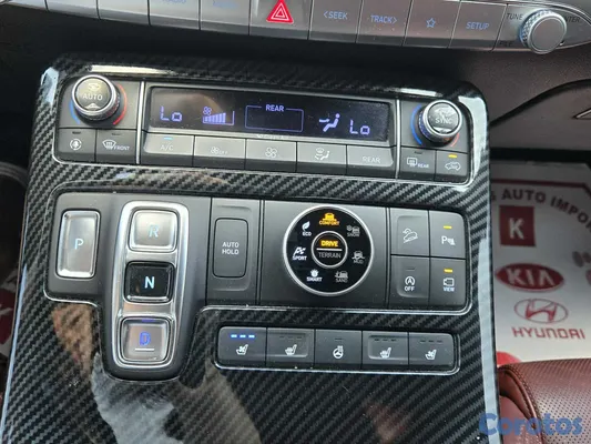 2019 Hyundai Palisade — foto 11 / 12
