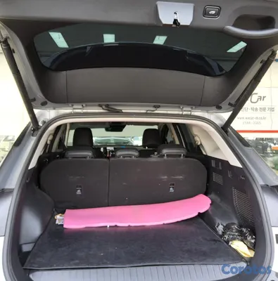 2024 Kia Sportage — foto 3 / 12