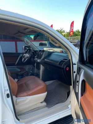 2012 Toyota Land Cruiser Prado — foto 11 / 12