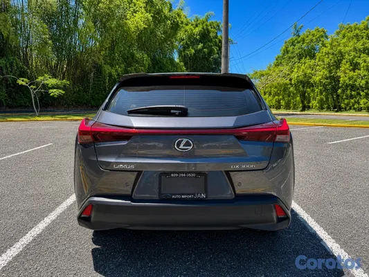 2025 Lexus UX — foto 14 / 14