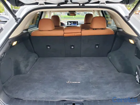 2021 Lexus Rx — foto 9 / 10
