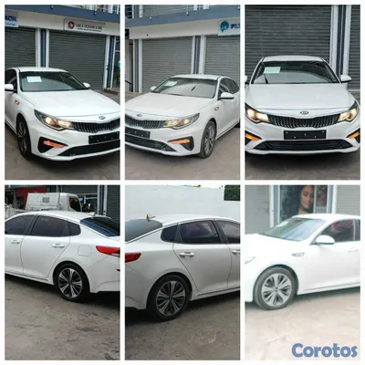 2019 Kia K-5 — foto 7 / 12