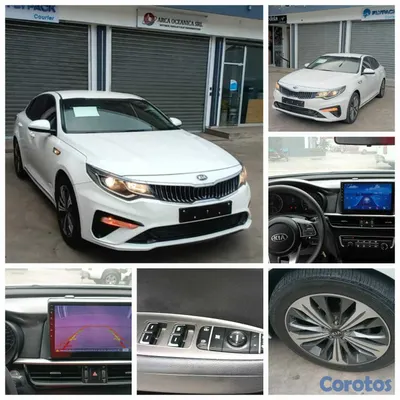 2019 Kia K-5 — foto 12 / 12