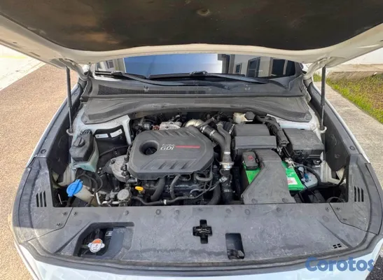 2019 Hyundai Santa Fe — foto 13 / 13