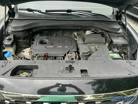 2019 Hyundai Santa Fe — foto 6 / 7