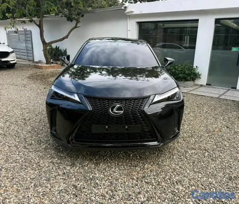 2024 Lexus UX