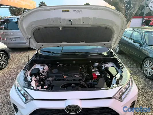 2020 Toyota Rav-4 — foto 6 / 9