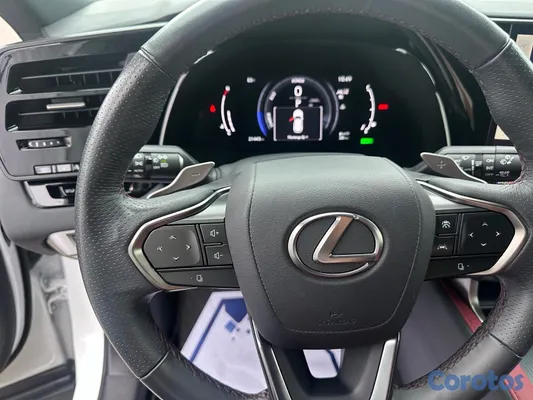 2024 Lexus Rx — foto 10 / 11