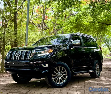 2019 Toyota Land Cruiser Prado — foto 14 / 18