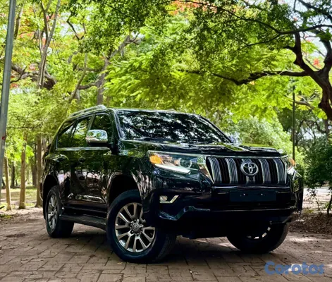 2019 Toyota Land Cruiser Prado — foto 18 / 18