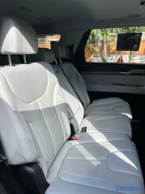 2021 Hyundai Palisade — foto 7 / 10