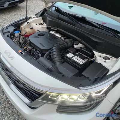 2022 Kia Seltos — foto 16 / 19