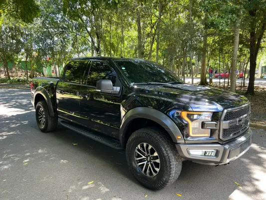 2019 Ford Serie F — foto 2 / 5