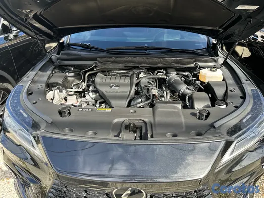 2023 Lexus Rx — foto 10 / 10