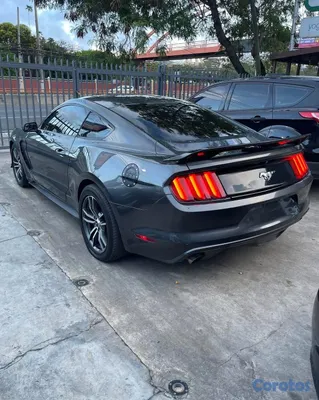 2017 Ford Mustang — foto 13 / 17