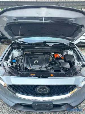 2021 Mazda CX-50 — foto 8 / 10