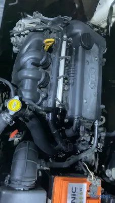 2014 Kia Rio — foto 6 / 7