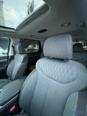 2020 Hyundai Palisade — foto 9 / 9