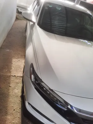 2019 Honda Accord — foto 7 / 8