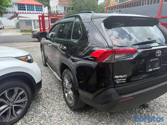 2019 Toyota Rav-4 — foto 10 / 10