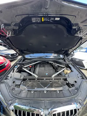 2019 BMW Serie X — foto 10 / 10