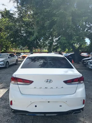 2019 Hyundai Sonata — foto 5 / 10