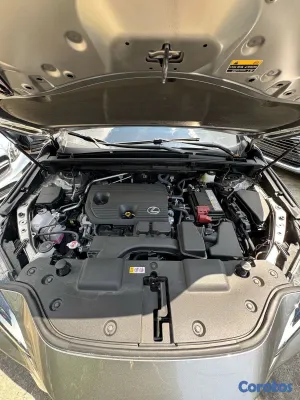 2024 Lexus NX — foto 10 / 10