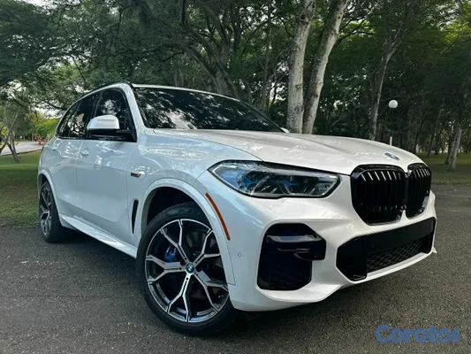 2022 BMW Serie X
