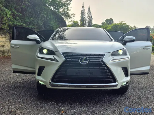 2020 Lexus NX