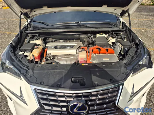 2020 Lexus NX — foto 4 / 19