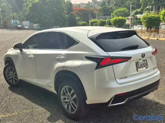 2020 Lexus NX — foto 11 / 19