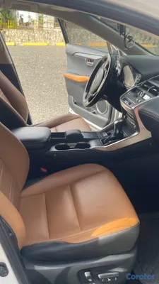 2020 Lexus NX — foto 13 / 19