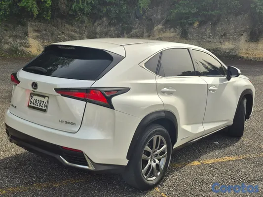 2020 Lexus NX — foto 14 / 19