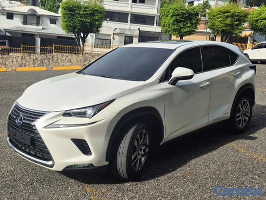 2020 Lexus NX — foto 15 / 19