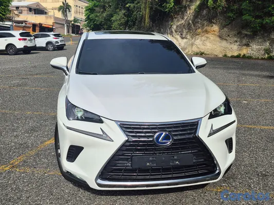 2020 Lexus NX — foto 17 / 19
