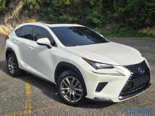 2020 Lexus NX — foto 19 / 19