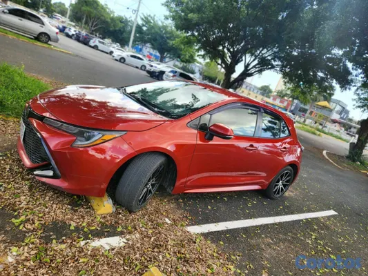 2019 Toyota Corolla — foto 11 / 13