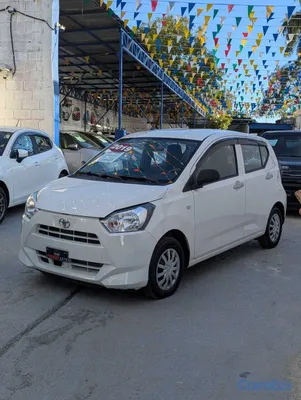 2019 Toyota Pixis