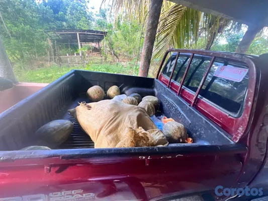 1998 Toyota Hilux — foto 4 / 8