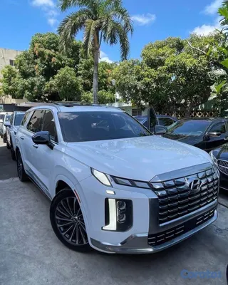 2023 Hyundai Palisade — foto 3 / 10